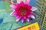 mc頭像制作網(wǎng)站 我要自己制作頭像