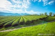 財(cái)經(jīng)自媒體網(wǎng)站源碼 財(cái)經(jīng)類自媒體排名