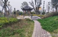 公司去哪個(gè)網(wǎng)站接項(xiàng)目 項(xiàng)目接單