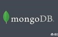 誰有電商網(wǎng)站的mongodb設(shè)計 如何設(shè)計網(wǎng)站