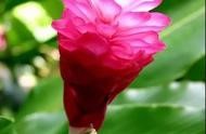 網(wǎng)站設(shè)計(jì)評(píng)估角度 網(wǎng)站設(shè)計(jì)的內(nèi)容有