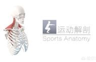 健身管理軟件 健身房健身軟件