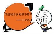 im域名注冊(cè)熱度居然這么大 me域名注冊(cè)