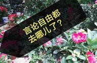 美國tdi公司網(wǎng)站 公司網(wǎng)站費用