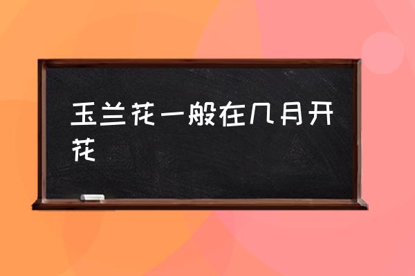 玉蘭花一般在幾月開花 玉蘭花是什么季節(jié)開？