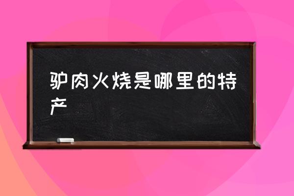 驢肉火燒是哪里的特產 哪的驢肉火燒最正宗？