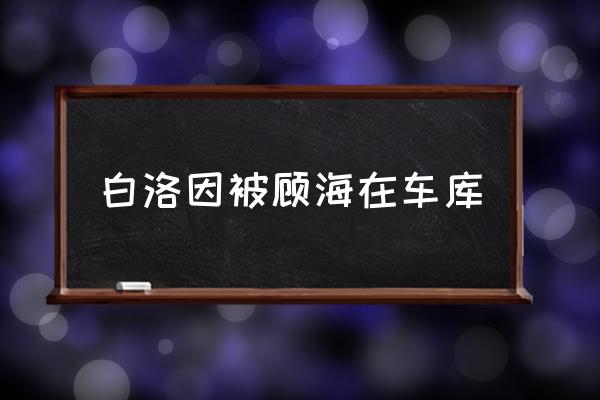 白洛因被顧海在車庫 家居用品，你還敢網(wǎng)購嗎？