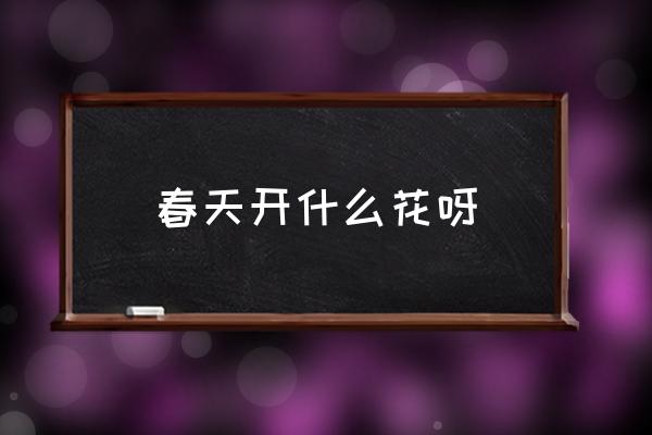 春天開什么花呀 春天有哪些花會開？