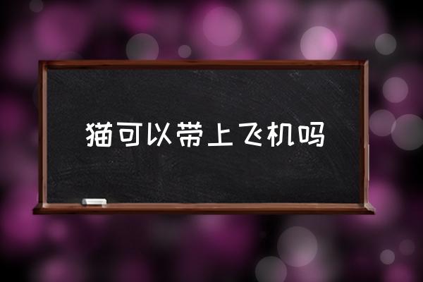 貓可以帶上飛機(jī)嗎 高鐵能帶小貓嗎？