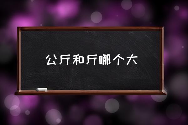 公斤和斤哪個大 一斤等于多少兩？