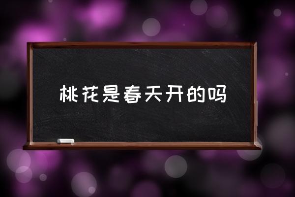 桃花是春天開的嗎 桃花是在什么季節(jié)開花的？