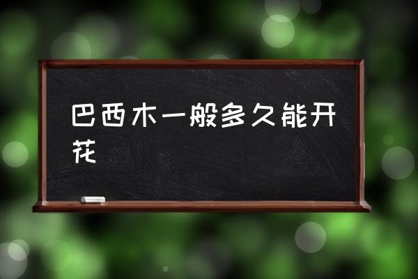 巴西木一般多久能開花 巴西木幾年開花？