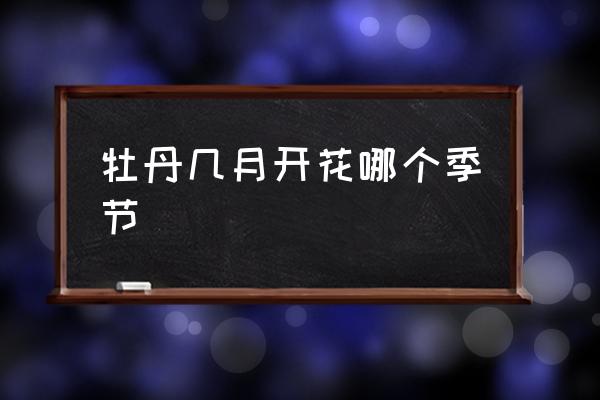 牡丹幾月開花哪個(gè)季節(jié) 牡丹多久開花？