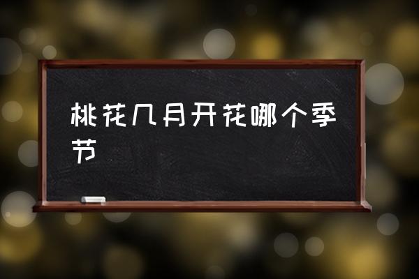 桃花幾月開花哪個(gè)季節(jié) 桃花什么時(shí)間開最好？