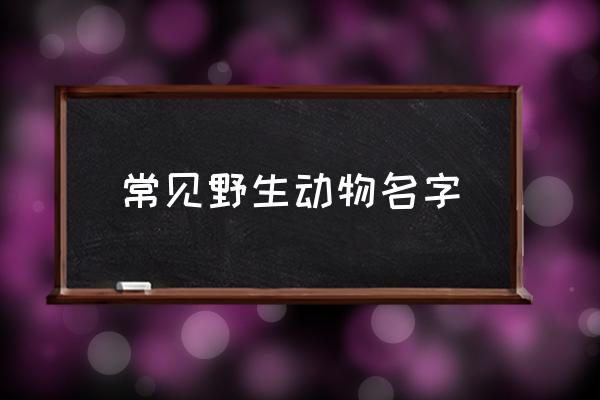 常見野生動(dòng)物名字 野生動(dòng)物包括哪些？