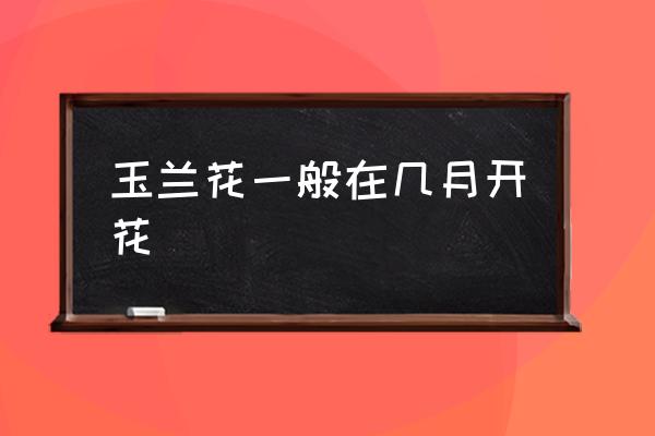 玉蘭花一般在幾月開花 玉蘭開花多久？
