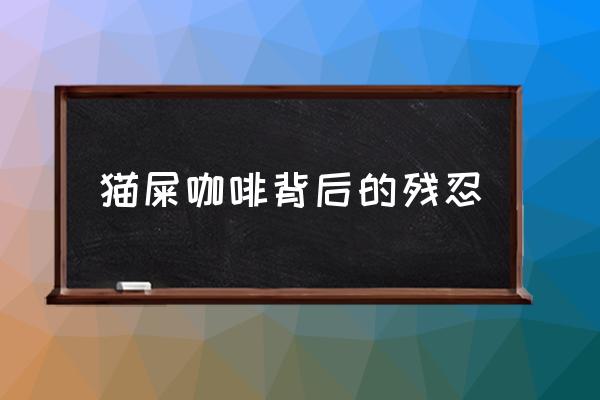 貓屎咖啡背后的殘忍 貓屎咖啡真的是貓屎嗎？