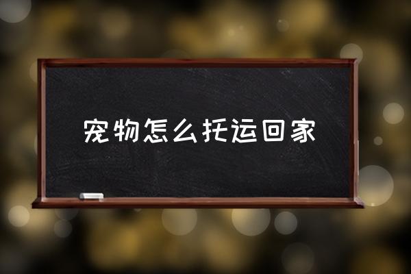 寵物怎么托運回家 寵物怎么帶上高鐵？