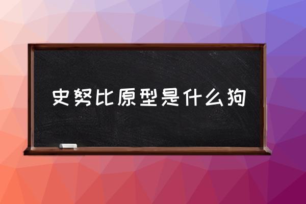 史努比原型是什么狗 史努比原型犬優(yōu)缺點？