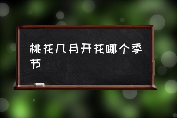 桃花幾月開花哪個(gè)季節(jié) 桃花的花期通常？