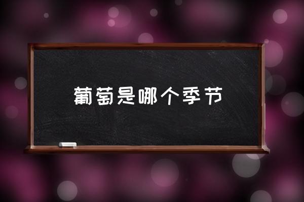 葡萄是哪個季節(jié) 葡萄發(fā)芽到成熟多久？