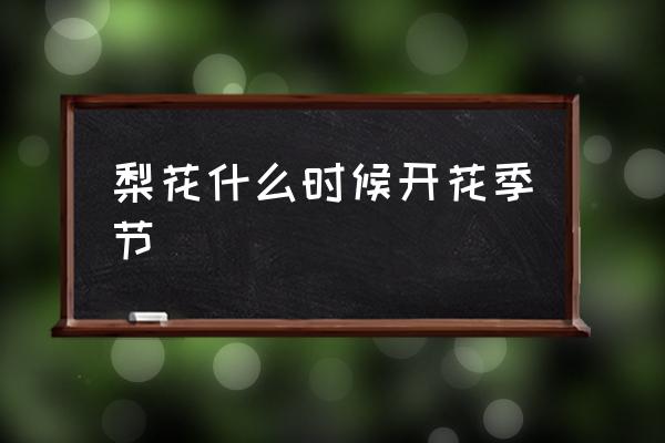 梨花什么時(shí)候開(kāi)花季節(jié) 梨花在幾年開(kāi)？