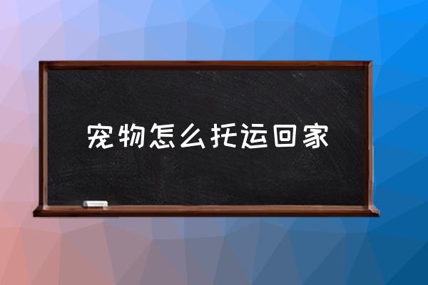 寵物怎么托運回家 寵物上高鐵要什么手續(xù)？