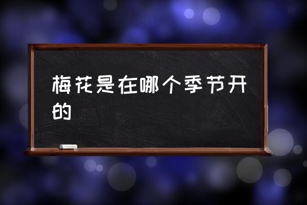 梅花是在哪個(gè)季節(jié)開(kāi)的 梅花什么時(shí)間最好看？