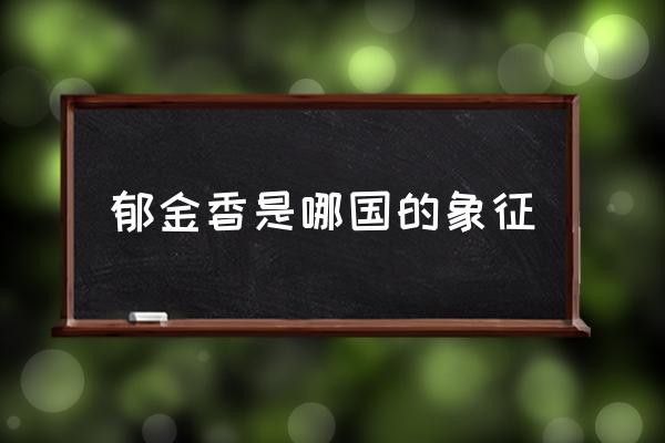 郁金香是哪國的象征 荷蘭種植郁金香用途？