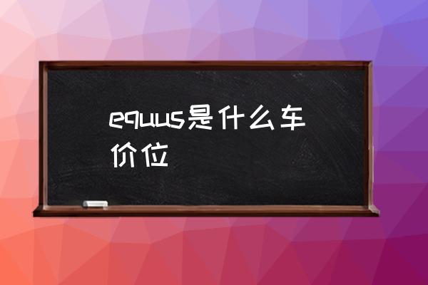 equus是什么車(chē)價(jià)位 equus是什么車(chē)？