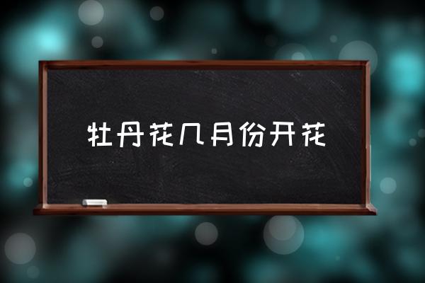 牡丹花幾月份開花 牡丹開放時(shí)間和預(yù)兆？