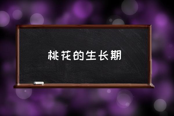 桃花的生長(zhǎng)期 桃花什么時(shí)候開花？