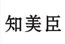 知美臣