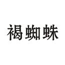 褐蜘蛛