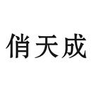 俏天成