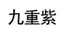九重紫