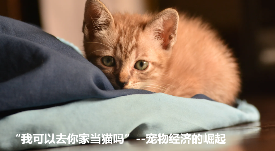 a3bb9bce3982e6a9d451ce28b1f5e4f4.png
