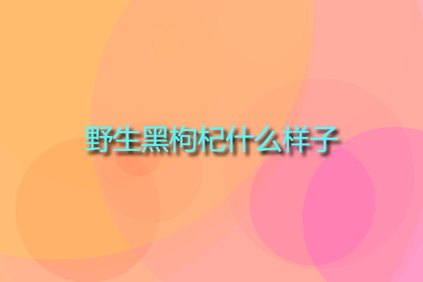 1209b577cac480fd06fe2b02c2008075.jpg 1209b577cac480fd06fe2b02c2008075.jpg