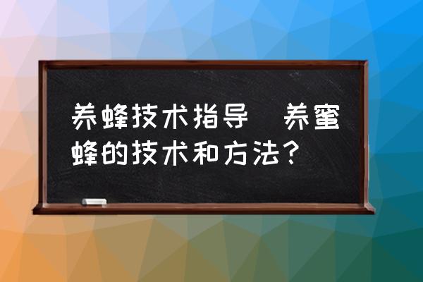 養(yǎng)蜂技術指導(養(yǎng)蜜蜂的技術和方法？)
