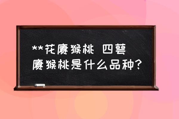**花獼猴桃 四萼獼猴桃是什么品種？