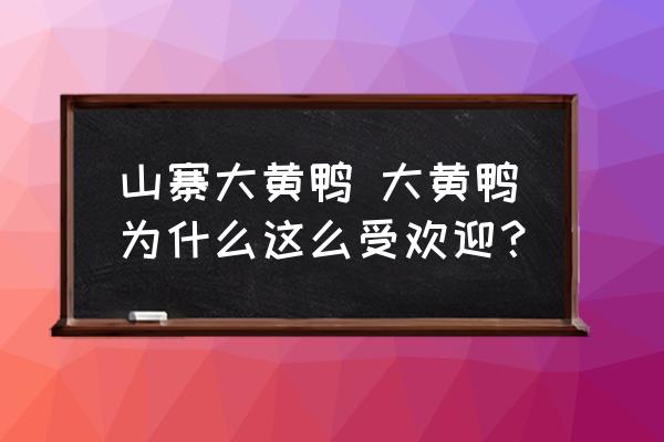 山寨大黃鴨 大黃鴨為什么這么受歡迎？