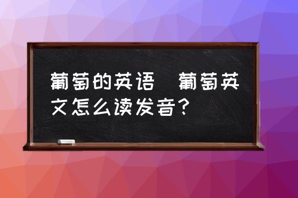 葡萄的英語(yǔ)(葡萄英文怎么讀發(fā)音？)