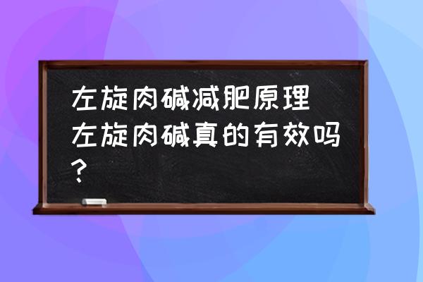 左旋肉堿減肥原理 左旋肉堿真的有效嗎？
