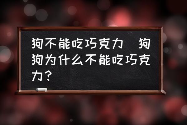 狗不能吃巧克力(狗狗為什么不能吃巧克力？)