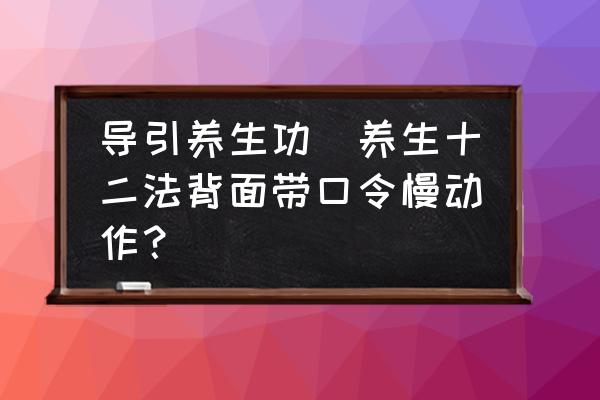 導(dǎo)引養(yǎng)生功(養(yǎng)生十二法背面帶口令慢動(dòng)作？)