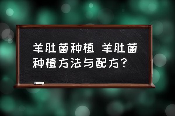 羊肚菌種植 羊肚菌種植方法與配方？