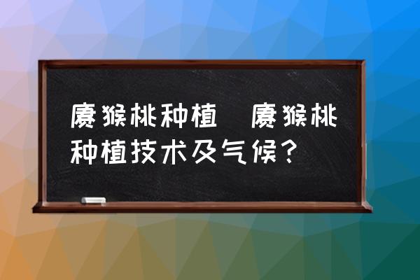 獼猴桃種植(獼猴桃種植技術及氣候？)