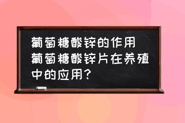 葡萄糖酸鋅的作用 葡萄糖酸鋅片在養(yǎng)殖中的應(yīng)用？