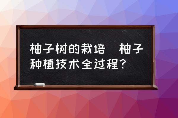 柚子樹的栽培(柚子種植技術(shù)全過程？)
