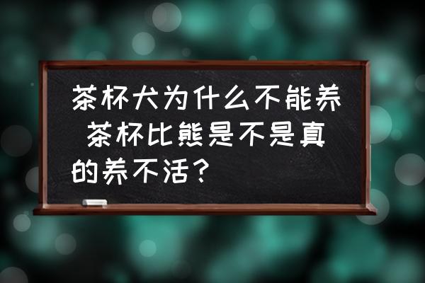 茶杯犬為什么不能養(yǎng) 茶杯比熊是不是真的養(yǎng)不活？
